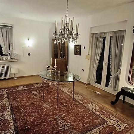 M Shaikh
